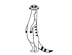 Meerkat black and white clipart