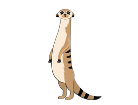 Meerkat clipart