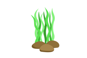 Seaweed clipart