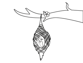 Weaver Bird black and white clipart