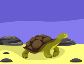 Turtle vector