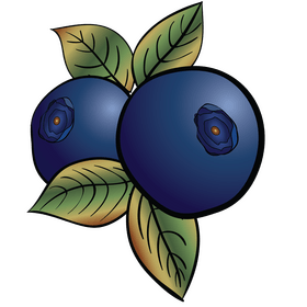 Blueberry clipart