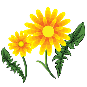 Dandelion clipart