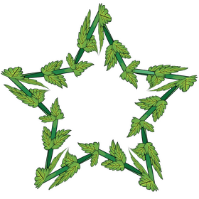 Leaf clipart