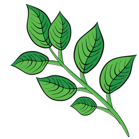 Leaf branch clipart