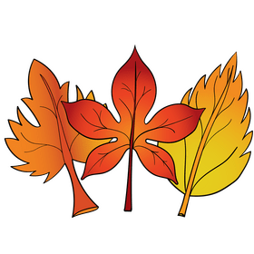 Autumn leaf clipart