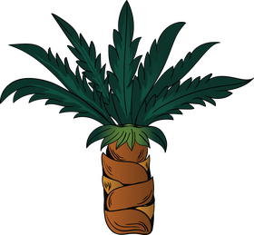 Palm clipart