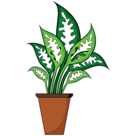 Office potted plant clipart