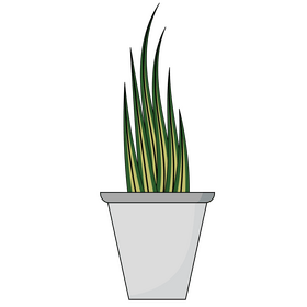 Potted plant flower clipart