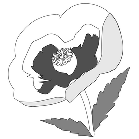 Red poppy flower drawing black and white clipart