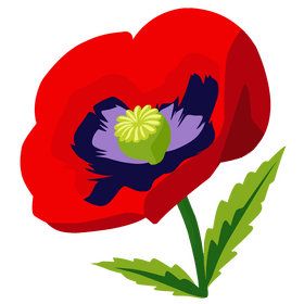 Poppy Flower vector - for free download