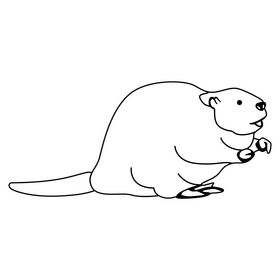 Beaver black and white clipart
