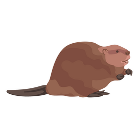 Beaver clipart