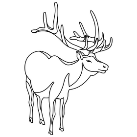 Canadian moose black and white clipart