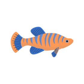 Killifish clipart