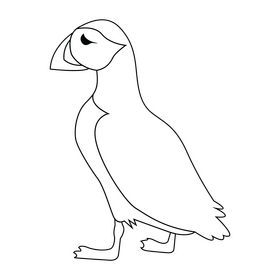 Puffin bird black and white clipart