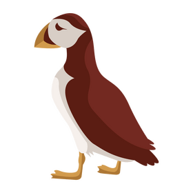 Puffin bird clipart