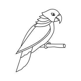 Parrot black and white clipart