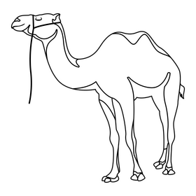 Camel black and white clipart