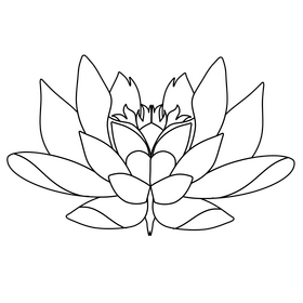 Lotus black and white clipart