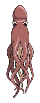 Octopus clipart