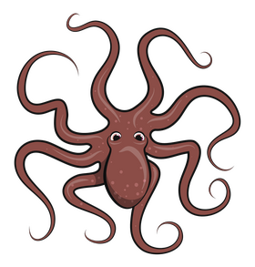 Octopus clipart