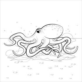 Octopus drawing black and white vector