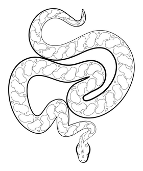 Anaconda snake black and white clipart