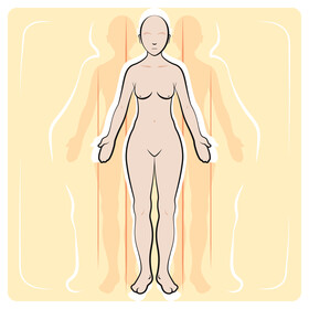 Anatomy vector