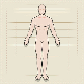 Anatomy vector