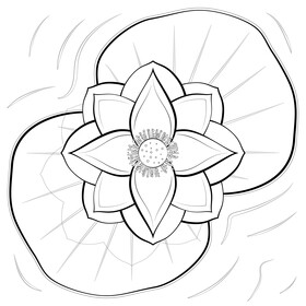 Lotus flower black and white vector
