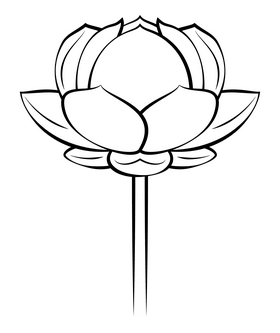 Lotus drawing black and white clipart