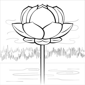 Lotus drawing black and white vector