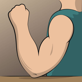 Elbow vector