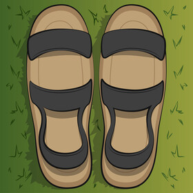 Sandals vector