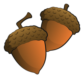 Fall acorn clipart