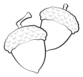 Fall acorn drawing black and white clipart