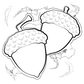 Fall acorn drawing black and white vector