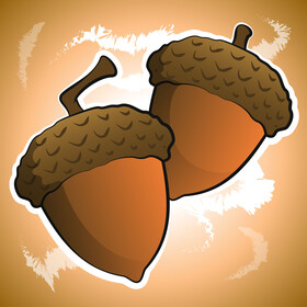 Fall acorn vector