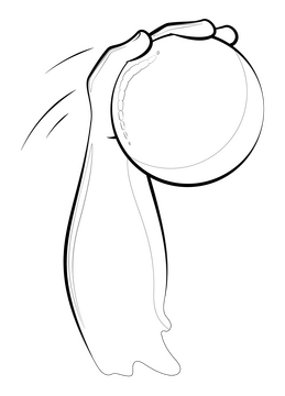 Dodgeball drawing black and white clipart