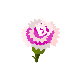 Dianthus flower clipart