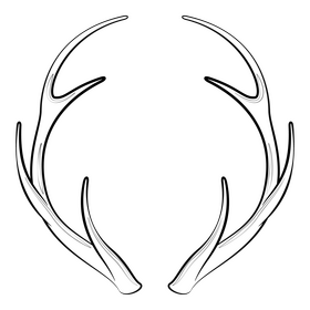 Deer antlers drawing black and white clipart