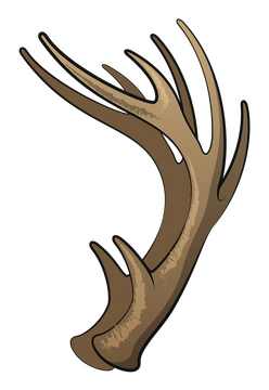 Deer antlers clipart