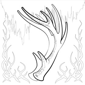 Deer antlers drawing black and white vector