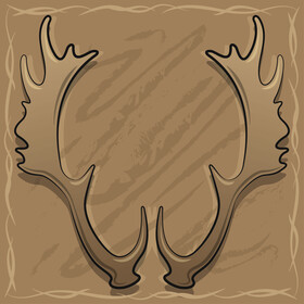 Deer antlers vector