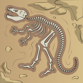 Dinosaur fossil vector free download