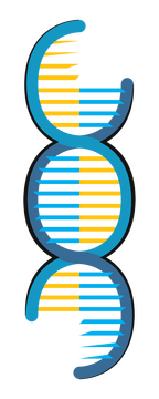Genetics clipart