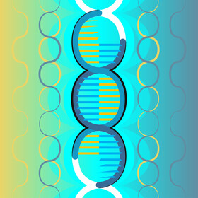 Genetics vector