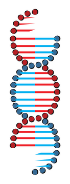 Genetics clipart
