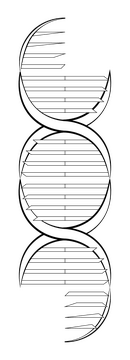 Dna genetics black and white clipart
